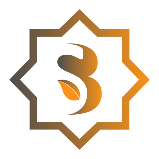 What is Sidra Coin